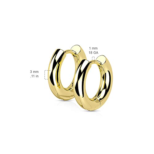 18GA 316L Stainless Steel 3mm Thick Hinged Round Hoop Earrings, Sold as a Pair2