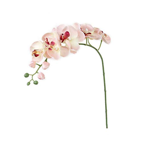 Newin Star Soie Artificielle Orchidée Fleur, Bouquet d'orchidées Papillon Blanc Fleurs Tige Simulation Papillon Orchidée Fleur à la Main Plante pour la Maison Décoration Rose