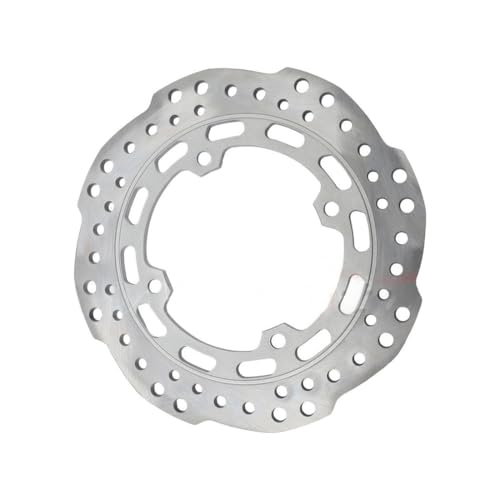 Disque de frein arrière CRF1100 avec dissipation thermique optimale 256mm