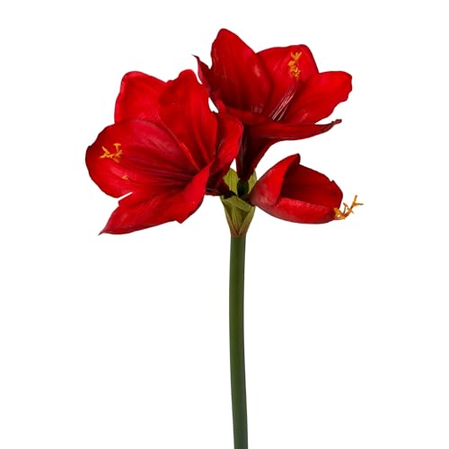 CREATIV green künstliche Amaryllis 68cm in rot I mit naturgetreuen...