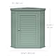 Elegant Home Fashions Glancy Eck Wandschrank abnehmbar Salbeigrün Lamellentür