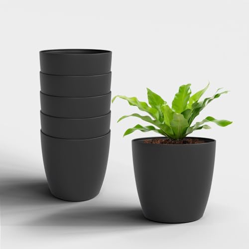 Image of YUCCABE ITALIA SHERA Stella 8 Inch Plastic Plant Pot for Home Decor Indoor Plant Pots for Living Room Plastic Flower Pot for Garden (Grey, 8 INCH - 6 Pcs)