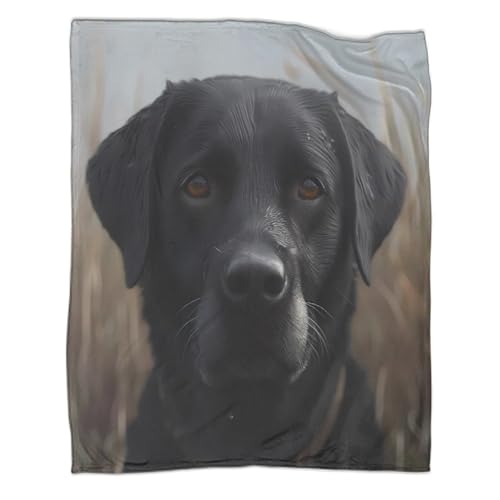 Couverture polaire chien noir 150x200 cm microfibre lit - 3