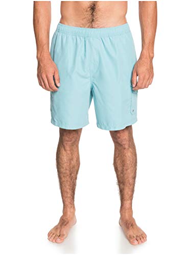Quiksilver Men's Standard Balance Volley 18 Swim Trunk Boardshort