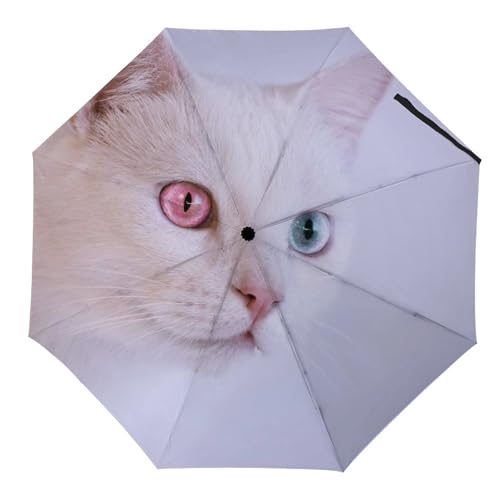 Parapluie de voyage pour femme et homme compact pour ne plus jamais subir la pluie