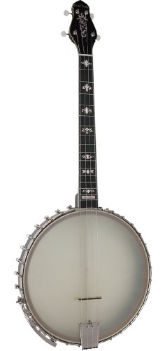 GOLD TONE CELLO BANJO 4-STRING+CASE