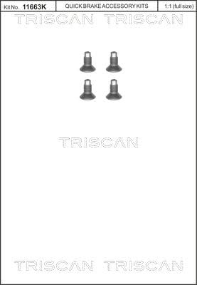 TRISCAN Schraube Bremsscheibe 8105 116004 17mm