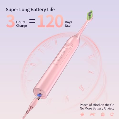 Elektrische Zahnbürste für Erwachsene mit 6 Dupont Bürstenköpfen, 42000 VPM Schallzahnbürste, 4 Putzmodi, 120 Tage ultra-lange Akkulaufzeit, IPX7 Wasserdicht, 2 Minuten Smart Timer (Rosa) – Bild 7