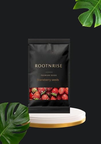 Image of RootNrise Premium Strawberry Seeds for Home and Garden, Hybrid Variety (Pack of 10+ Seeds)