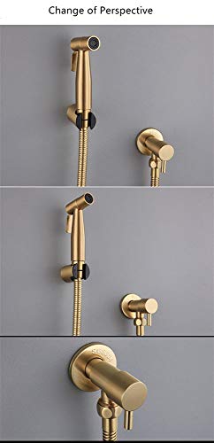 LOSCHEN Bidet Toilettensprüher, Hand Bidet Sprayer, Bidet Handbrause, Edelstahl Duschkopf Bidet Armaturen für Haustierbad/Körperpflege/WC (Gold)