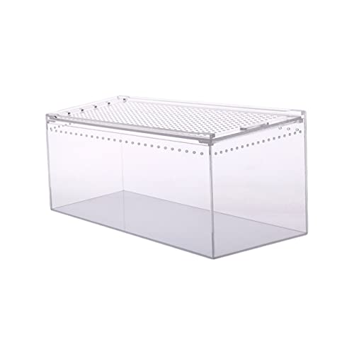 TOBBOMEY  ANnCnCybg{bNX oRpybgRei ঒ރANZT[ T̐ r ^N ঒ރeE̐n AN^N Transparent