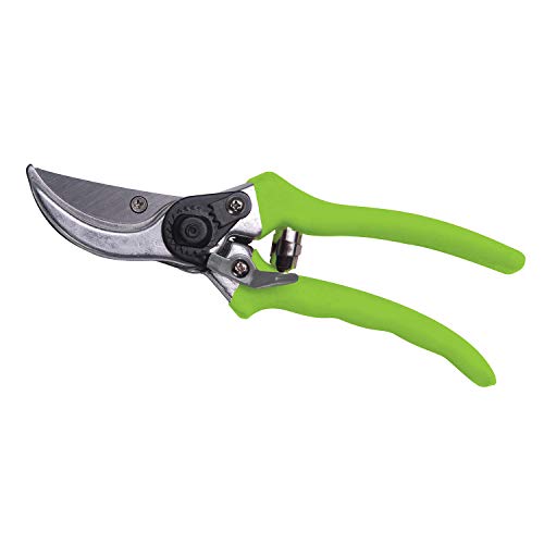Bond 3104BL Bloom Tijeras Bypass 8" miniatura 4