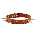 EINZIGARTIG UND MODISCH: Fashion Lady Punk Fancy Choker Halskette, schönes Kostümzubehör.