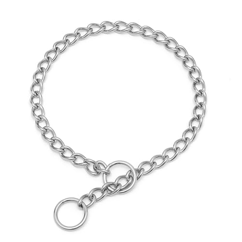 Stainless Steel Choke Chain for Dogs, Metal Slip P-Link Training Heavy Duty Dog Choke Collar Puppy Collars for Small Medium Large Big XL Breed Dogs, Silver L