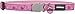 Red Dingo Designer Cat Collar, Breezy Love Pink