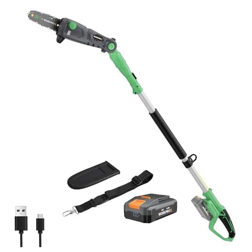 WORKPROX Potatore Telescopico su Asta 20V per la Potatura di Rami Alti, Motosega a Batteria 4,0Ah, Estensione fino a 4,5 m, Lama da 20 cm, Angolazione Regolabile, Lubrificazione Automatica