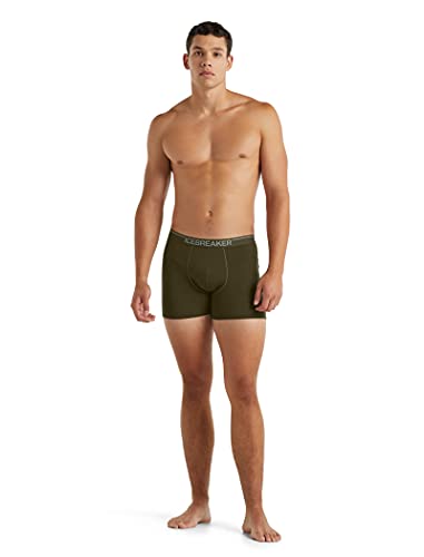 icebreaker Men's 150 Anatomica Boxers4