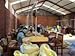 33 lbs BOLIVIA ORGANIC CARANAVI (AAA) GREEN COFFEE BEANS