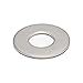 FOREVERBOLT FBFLWASH10LOD2P100 Flat Washer, Standard, 10, 18-8 Stainless Steel, Finish NL-19, PK 100