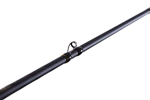 AbuGarcia (アブガルシア) オーシャンフィールド バーチカルコンタクト OCEANFIELD VC OFVC-6102LS 釣竿 オフショアロッド 釣り竿 オフショアキャスティングロッド バチコンロッド 5枚目