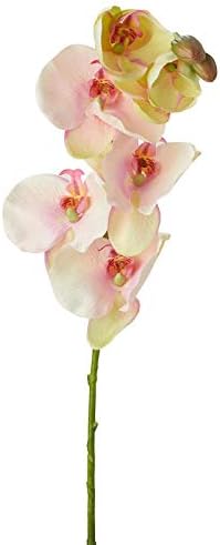 Factory Direct Craft Purple Poly Silk Moth Orchid Floral Stem | for Indoor Decor