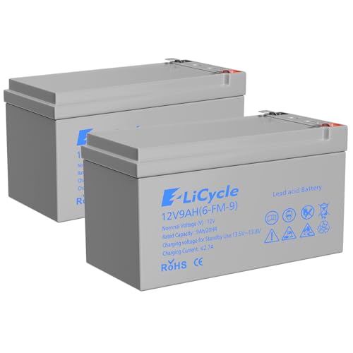 E LiCycle 2-Pack 12V 9AH Sealed Lead-Acid Battery...