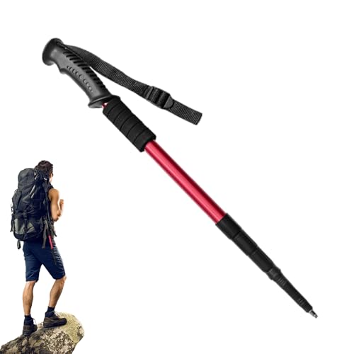 Bastones de senderismo con mangos de corcho, bastones de trekking para personas mayores, hombres y mujeres, bastón de trekking, bastón de senderismo, mango recto, 4 secciones, bastones ligeros y