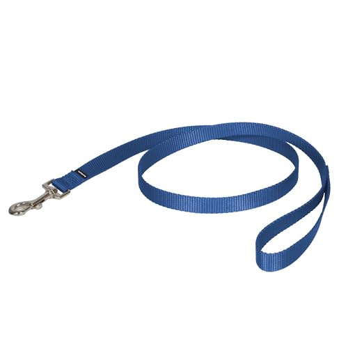 Image of PetSafe Nylon Dog Leash - Strong, Durable, Traditional Style Leash with Easy to Use Bolt Snap - 3 /4 in. x 4 ft., Royal Blue