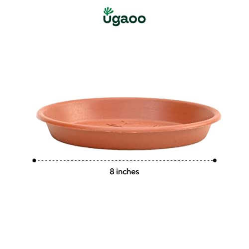 Ugaoo UV Treated Gardening Plastic Tray (Plate/Saucer) for Pots - 8 inch, Brown/Terracotta Color, Set of 12 | Tray for Plants Pot for Indoor Home Decor & Outdoor Garden & Balcony