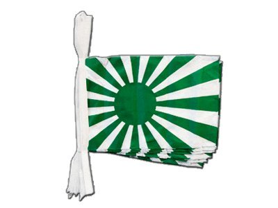 Guirlande drapeau vert blanc de 5,9m pour supporter et décoration de fête sportive