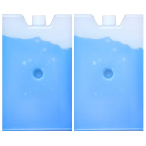 2 Placas De Hielo para Portátil, Anti-Fugas Placas De Hielo De 250ml, Reutilizable Paquete De Hielo para Lonchera, para Acampar, IR De Picnic, Hacer Senderismo O Pescar