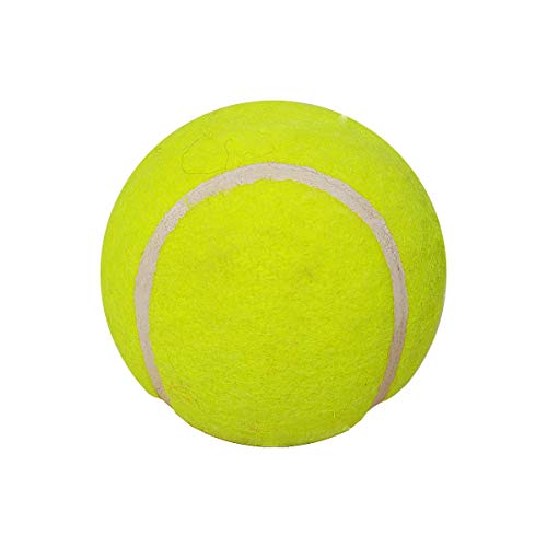 Image of GM Light Tennis Cricket Ball (Yellow)