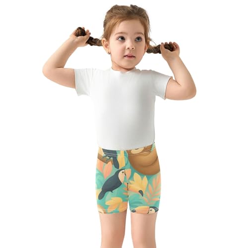 Toddler Biker Shorts for Girls Cotton Shorts for Under Dresses 4t Dance Clothes Cute Sloth Toucan Colorful Tropical3