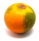 Fresh Lulo Fruit 4 Units x 5 Pack | Exotic Naranjilla Fruit | Tangy Tropical Citrus Flavor | Fresh & Chilled | Ideal for Juices, Smoothies & Desserts