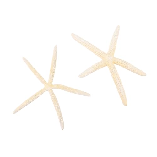 HOLIDYOYO Estrella de Mar Natural Blanca 2 Piezas 20-23 Cm, Adorno Decorativo para Bodas y Hogar, Accesorio para Manualidades y Decoración Temática Mediterránea