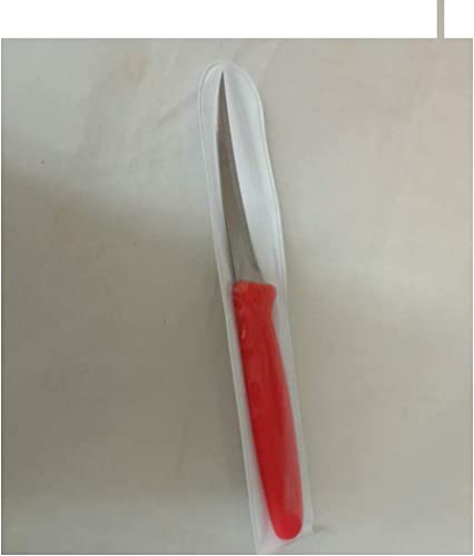 Thaisan7 ART CARVING KNIFE STAINLESS CRAFT Gifts TOOL CUT FRUIT VEGETABLE FOOD SOAP Traditional Food decoration maker (pack of 10)