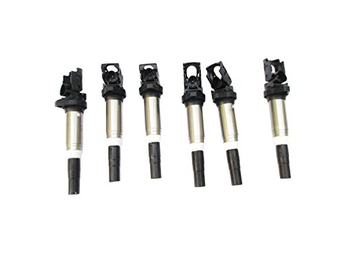 New! 6 Pack Ignition Coil For Bmw Models With Delphi Version Coil 12138616153 #TOP1