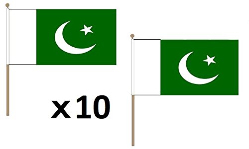 Drapeau Pakistan 45x30cm de qualité supérieure avec support rigide - 3
