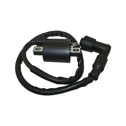Kit allumage 150cc 200cc 250cc Dirt Bike Quad ATV Lifan Loncin CG