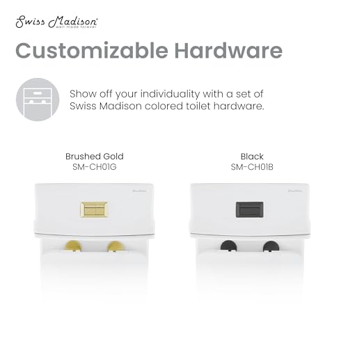 Image of Concorde One Piece Square Toilet Dual Flush, Brushed Gold Hardware 1.1 /1.6 gpf
