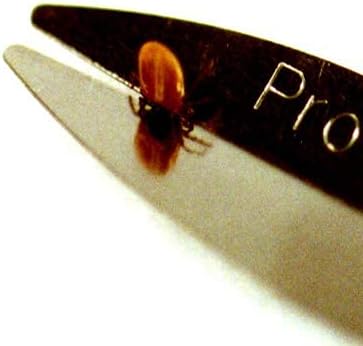 ProTick Remedy (2 Pack) Precision Steel Tick Remover, Magnifier, Chain, Tick ID Card, Tick ID Information. Helps Deal with All Ticks Sizes from Humans and Animals