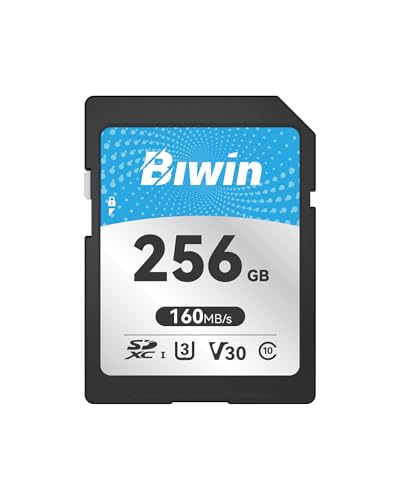 メモリー Biwin」の人気商品一覧 | 安い商品を通販サイトから