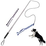POPETPOP Dog Outdoor Toy Extendable Teaser Wand Outside Interactive Fun Toys with 2 Rope Chew Play Toys for Training Exercise (Size L)