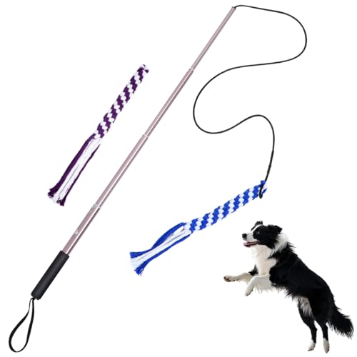 POPETPOP Flirt Pole for Dogs Interactive Dog Toys - Extendable Teaser Wand Outside Interactive Fun Toys with 2 Rope Chew Play Toys for Training Exercise (Size L)