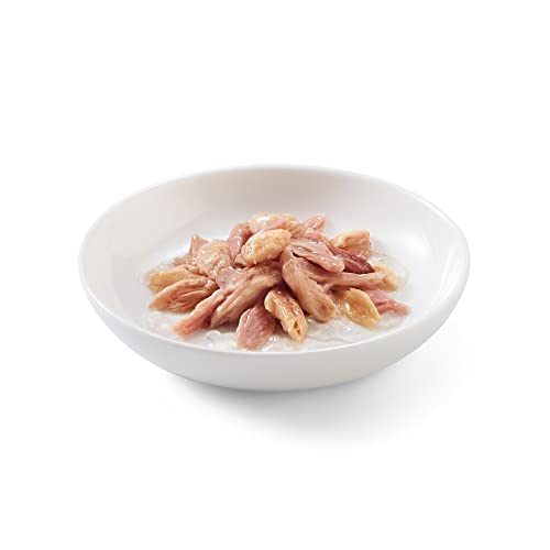 Schesir Cat Jelly Thunfisch mit Lachs, Katzenfutter nass, 30 Beutel x 50 g