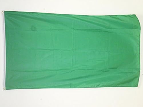 AZ FLAG Bandiera Monocolore Verde 90x60cm - Gran Bandiera Verde 60 x 90 cm Poliestere Leggero - Bandiere