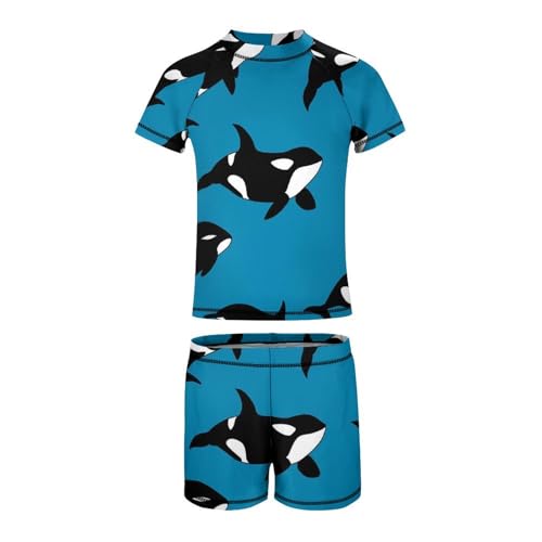 Killer Whale SwimmingChildren's Swimsuits Boys Two Piece Suit7-9Y（120cm）3