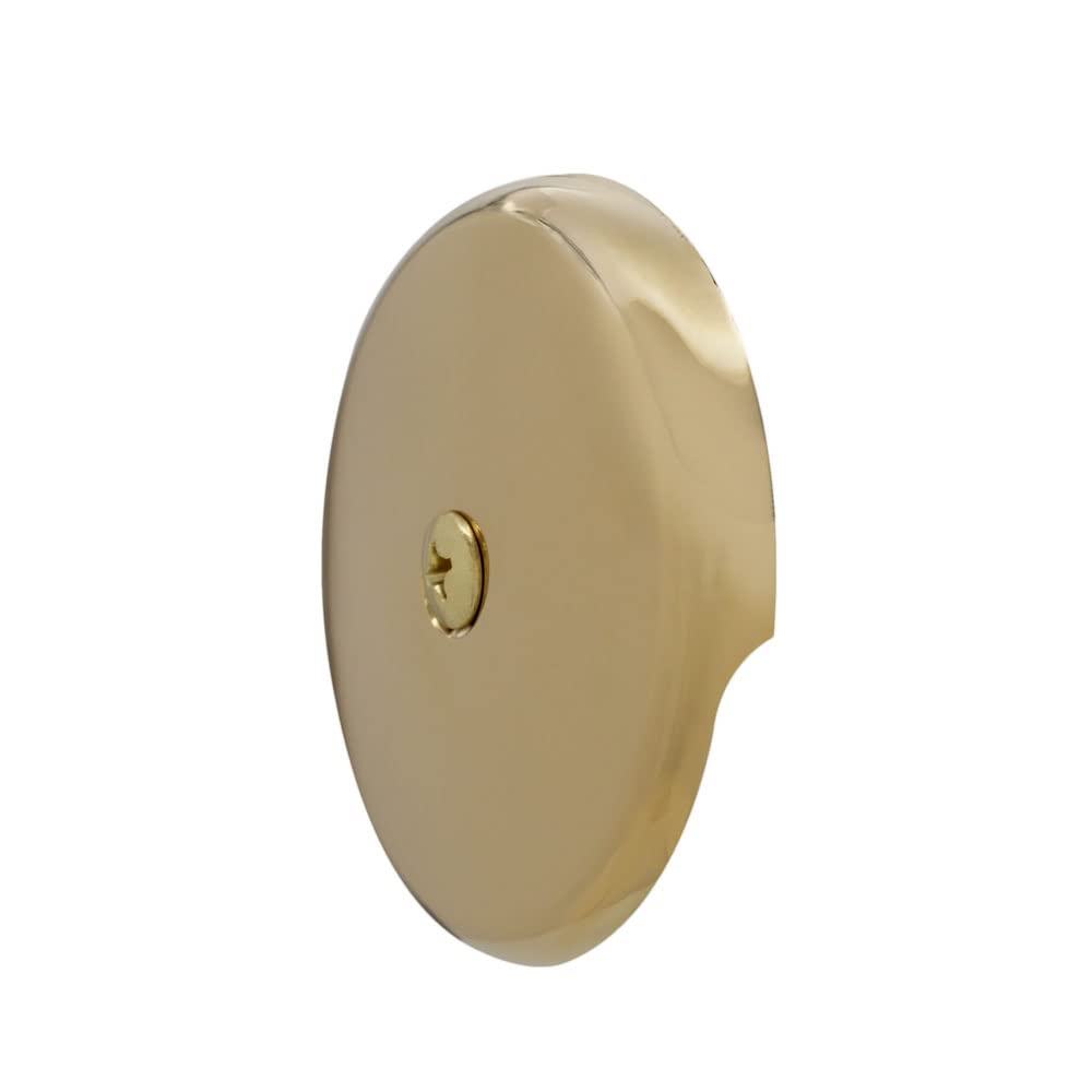 Westbrass D328-01 - Placa frontal con tornillo (un orificio, latón pulido), D328-01