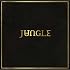 For Ever & Jungle Record Set