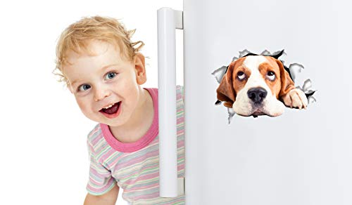 Winston & Bear 3D Cat Stickers - 2 Pack - Hopeful Beagle Decals for Wall - Stickers for Bedroom - Fridge - Toilet - Room - Retail Packaged